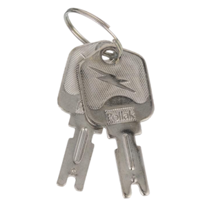 Ignition Starter Switch Replacement Key (Set of 2)