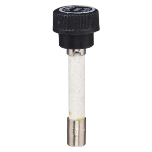 GLR Fast-Acting Glass Tube Fuse with Cap – 5/8 x 2-1/4", 2A