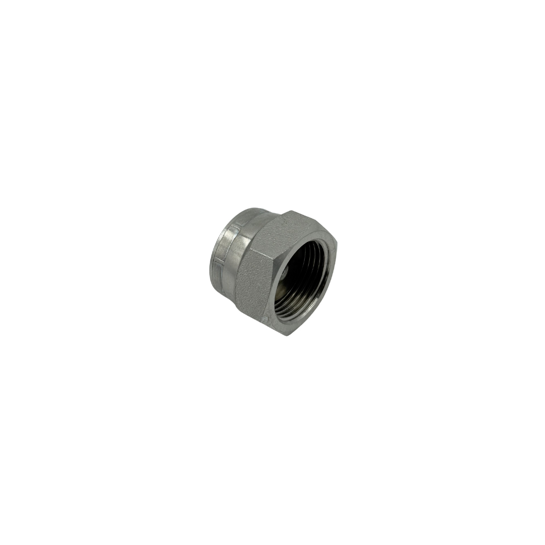 1/4" BSPP Female Hex Cap – Carbon Steel, 9033 Series