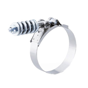 Spring-Loaded T-Bolt