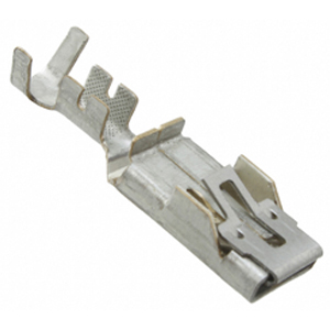 Terminal Standard Gauge