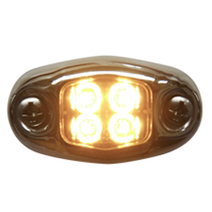 Oval Dragon Light