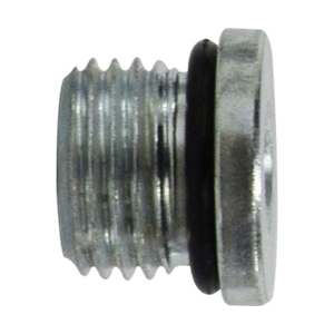 Straight Thread O-Ring - Hex Head Plug